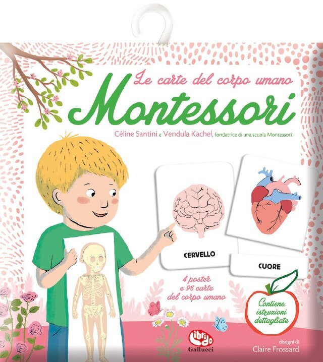 Le carte del corpo umano Montessori • Gallucci Editore