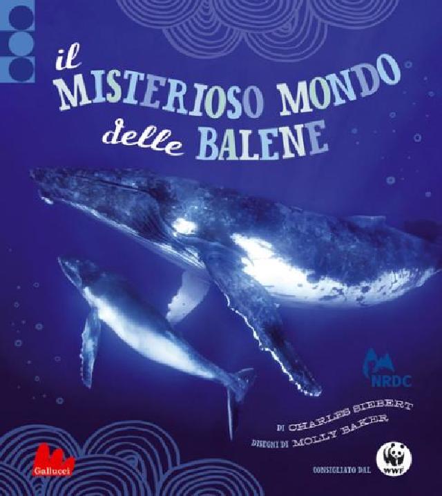 Il misterioso mondo delle balene • Gallucci Editore